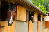 free Llanrhyddlad stable construction quotes